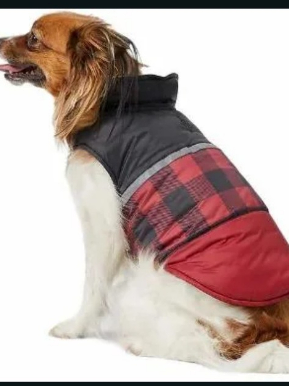 Dog Coat Plaid Red & Black Medium NWT